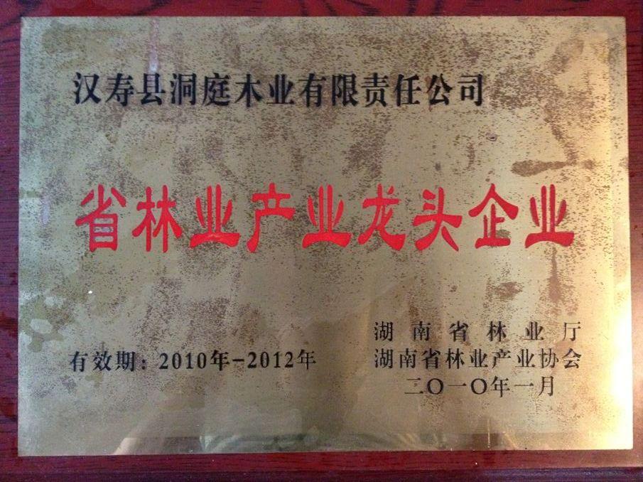 汉寿县洞庭木业有限责任公司