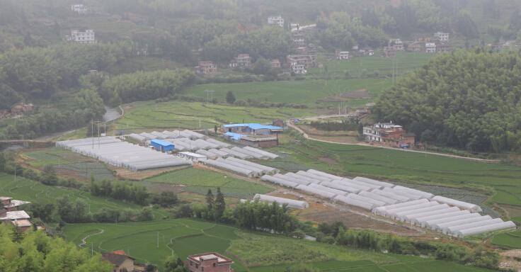 桂东绿江南原生态农产品开发有限公司