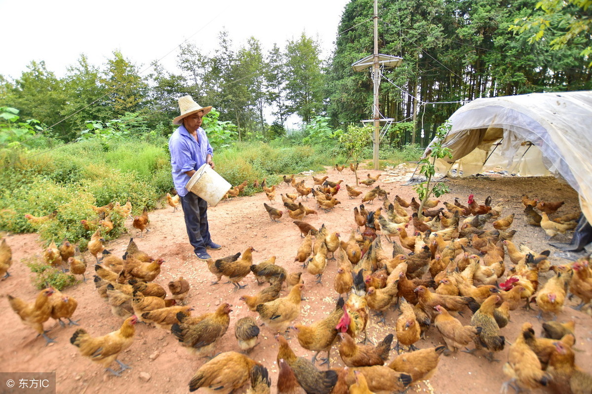 双峰县建世种养农民专业合作社