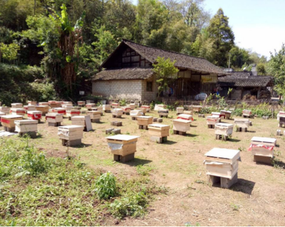 双峰县双平蜜蜂养殖农民专业合作社