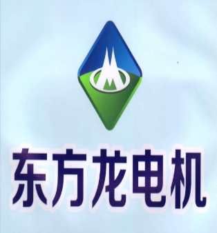 湖南省东方龙电机制造有限公司