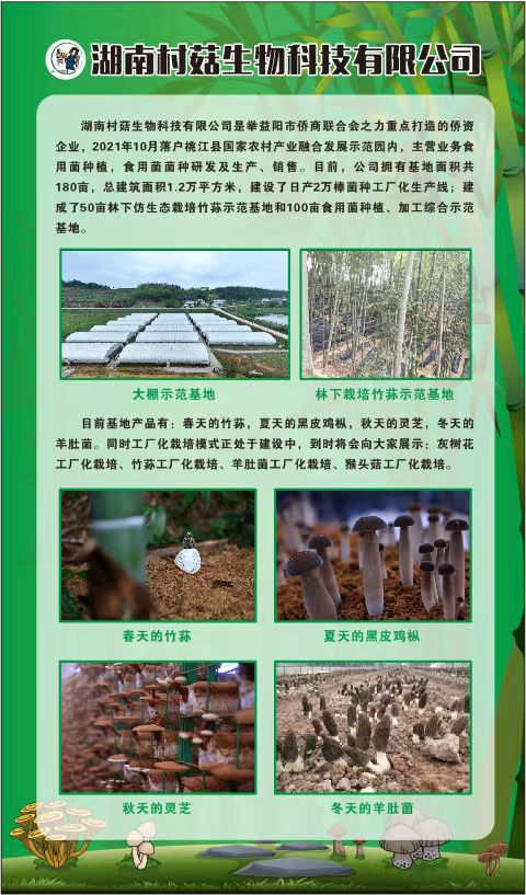 湖南村菇生物科技有限公司