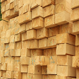 中南神箭竹木有限公司优质木方 桥梁专用进口木方