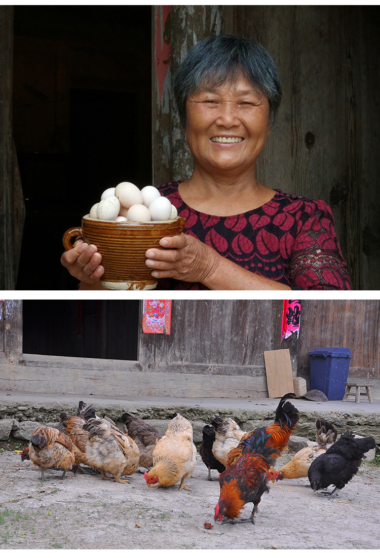 湖南特产土鸡蛋农家散养新鲜农村自养纯天然初生鸡蛋现发30个包装
