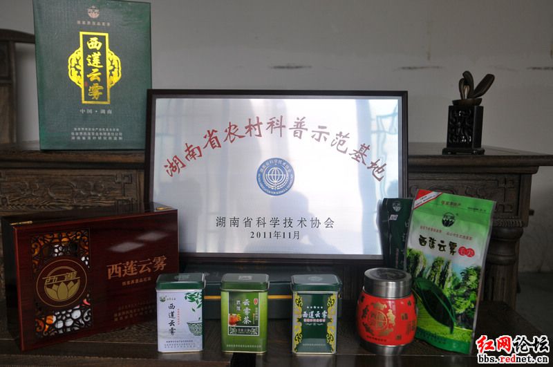 茶叶种植与加工
